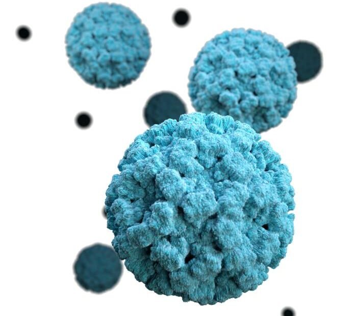 Norovirus. Credits: CDC