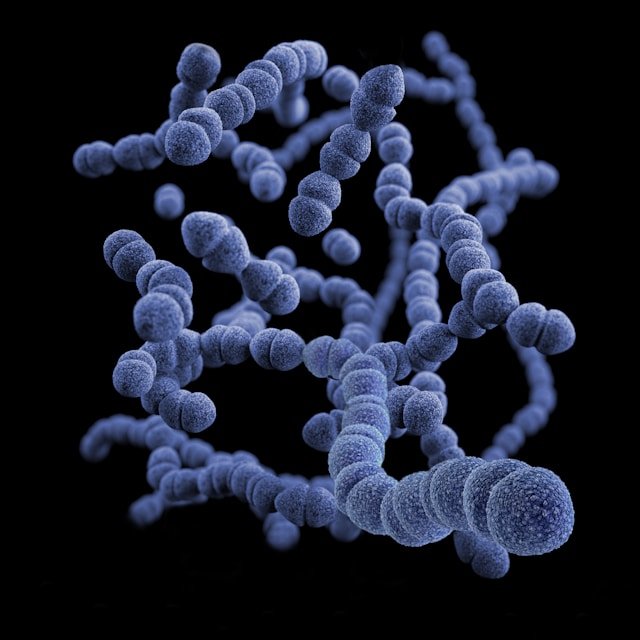 Multi-Omics. Symbolbild. Credits: Unsplash