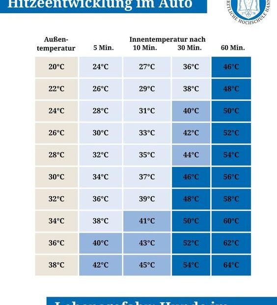 Infografik Hitzeentwicklung im Auto Tabelle zeigt Außentemperaturen von 2038°C und Innenwerte nach 5103060 Min Endwerte bis 64°C Warnhinweis unten zur Hitzebeständigkeit von Hunden