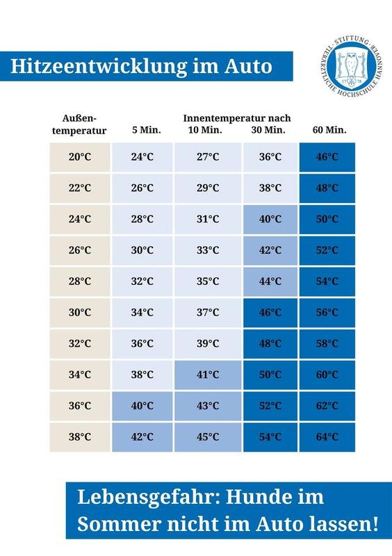 Infografik Hitzeentwicklung im Auto Tabelle zeigt Außentemperaturen von 2038°C und Innenwerte nach 5103060 Min Endwerte bis 64°C Warnhinweis unten zur Hitzebeständigkeit von Hunden