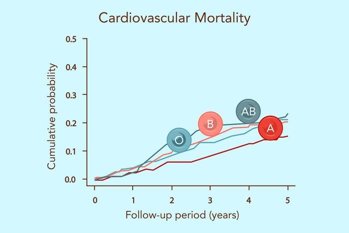 Line chart titled Cardiovascular Mortality showing cumulative probability over 05 years four groups O B AB A with colored lines and circular markers mortality increasing over time